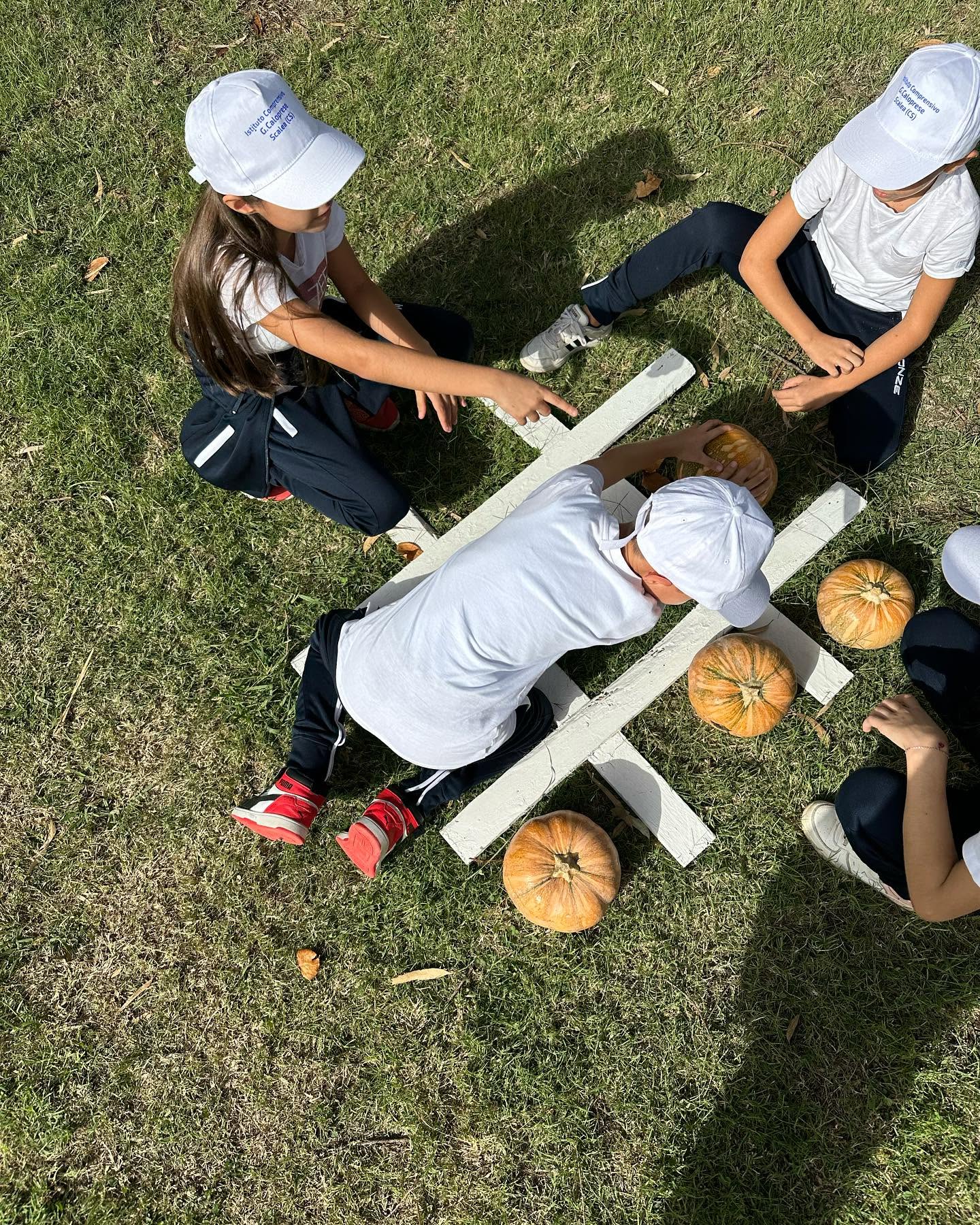 ZUCCA VILLAGE CALABRIA 2026 - PROMO SCUOLE