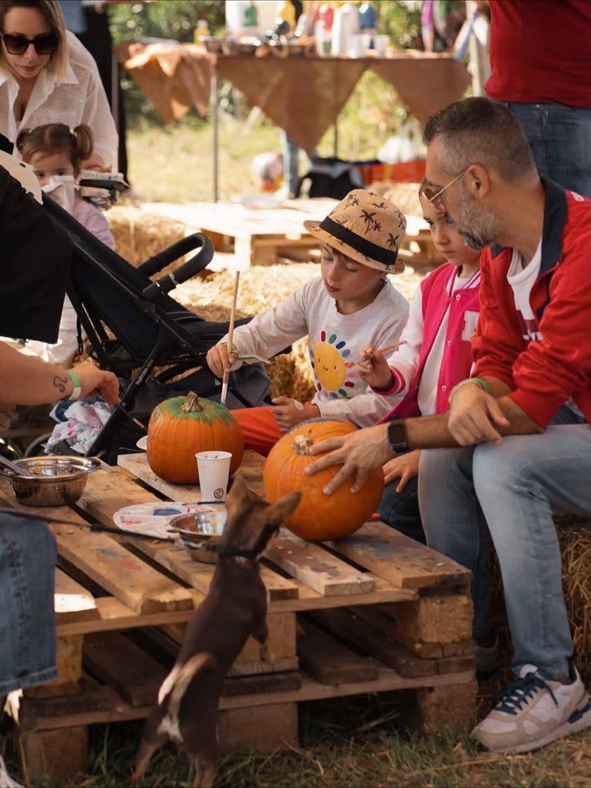 ZUCCA VILLAGE: TICKET INGRESSO + SOGGIORNO