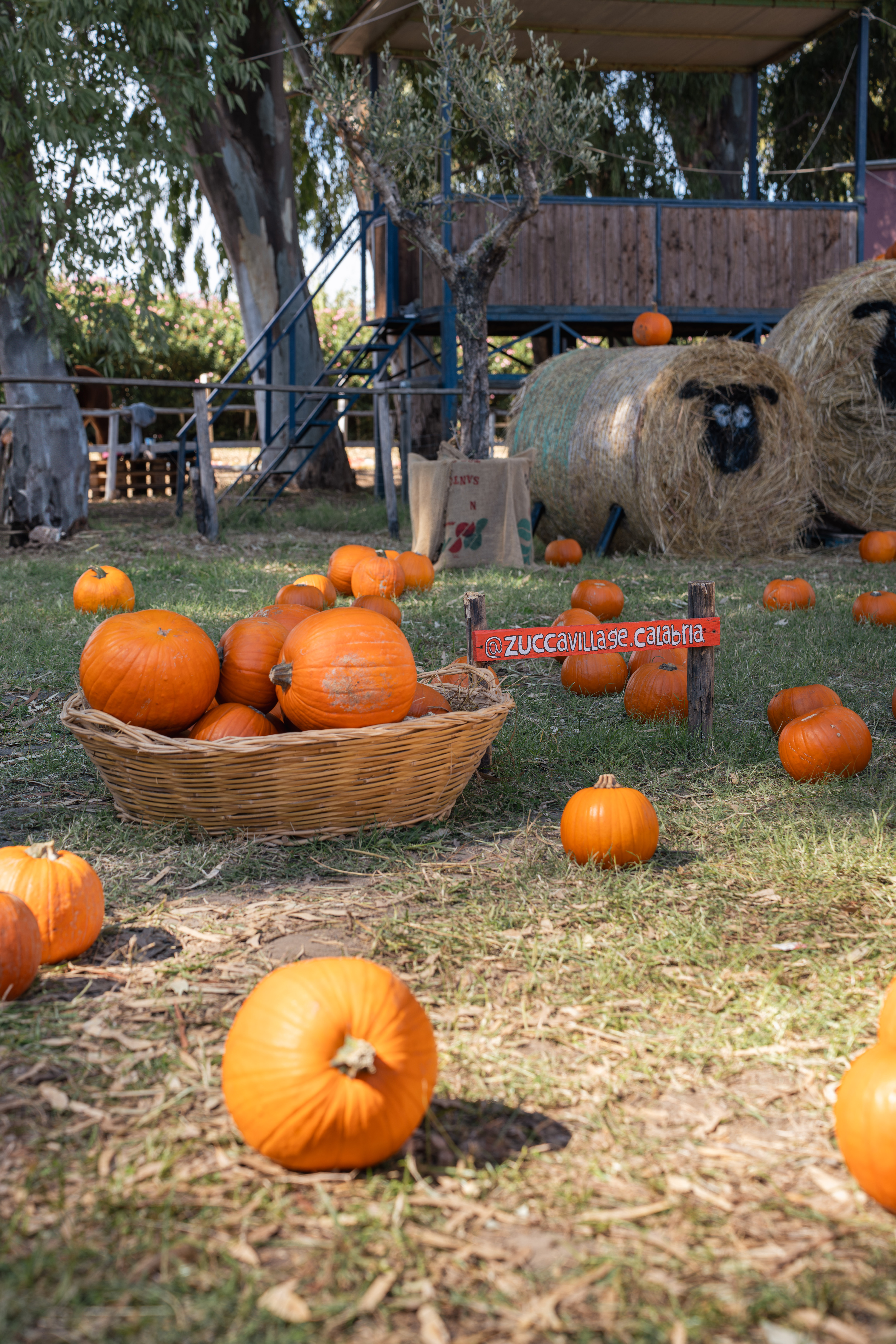 ZUCCA VILLAGE: TICKET INGRESSO + SOGGIORNO