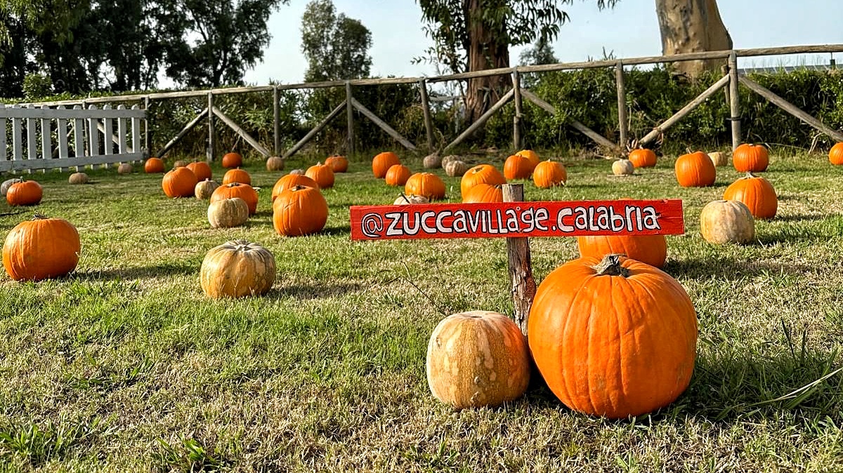 ZUCCA VILLAGE CALABRIA 2026 - PROMO SCUOLE