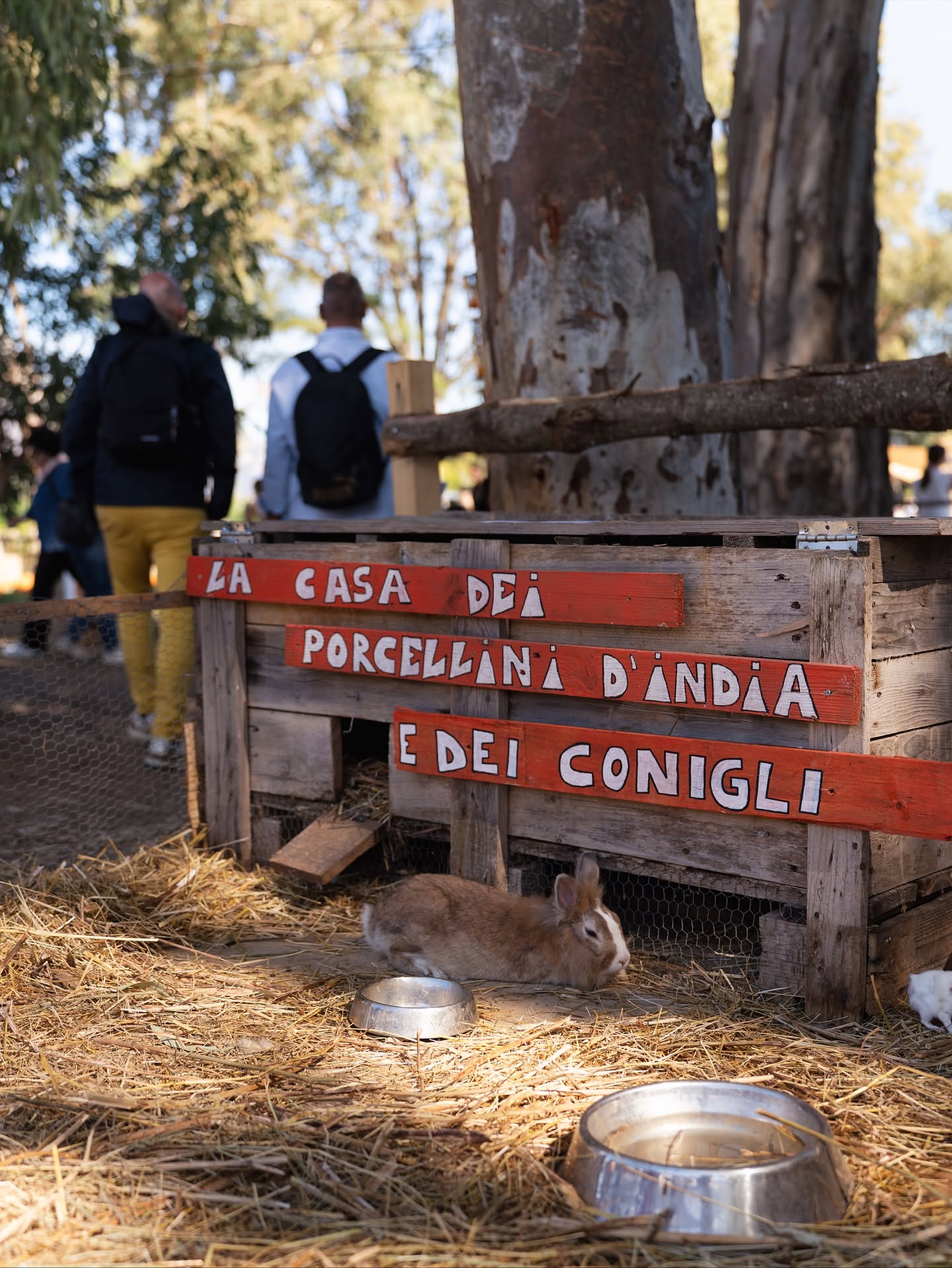 ZUCCA VILLAGE: TICKET INGRESSO + SOGGIORNO