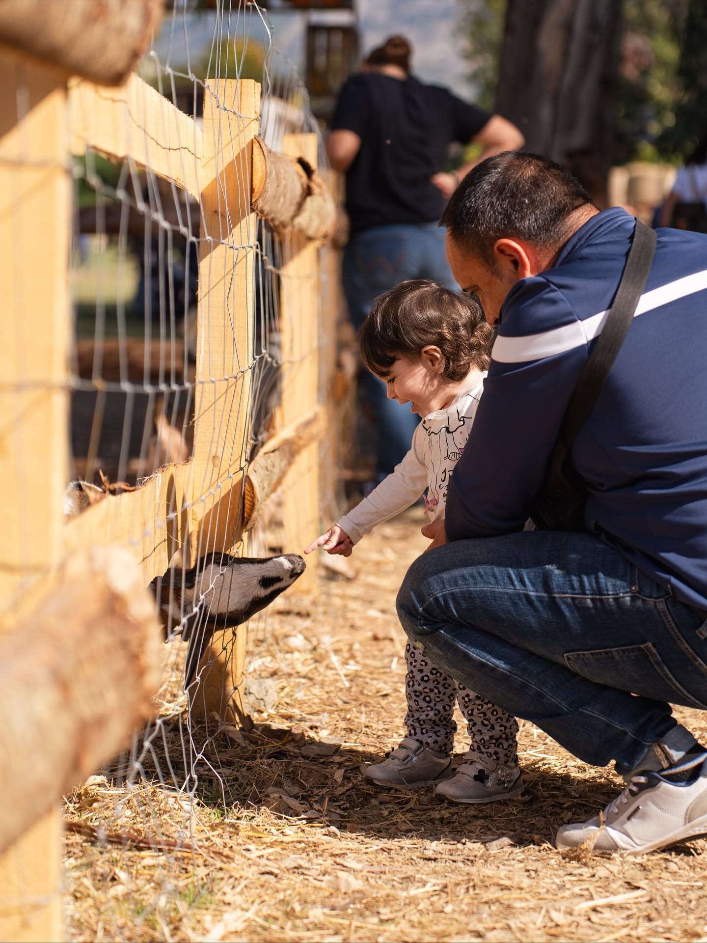 ZUCCA VILLAGE: TICKET INGRESSO + SOGGIORNO