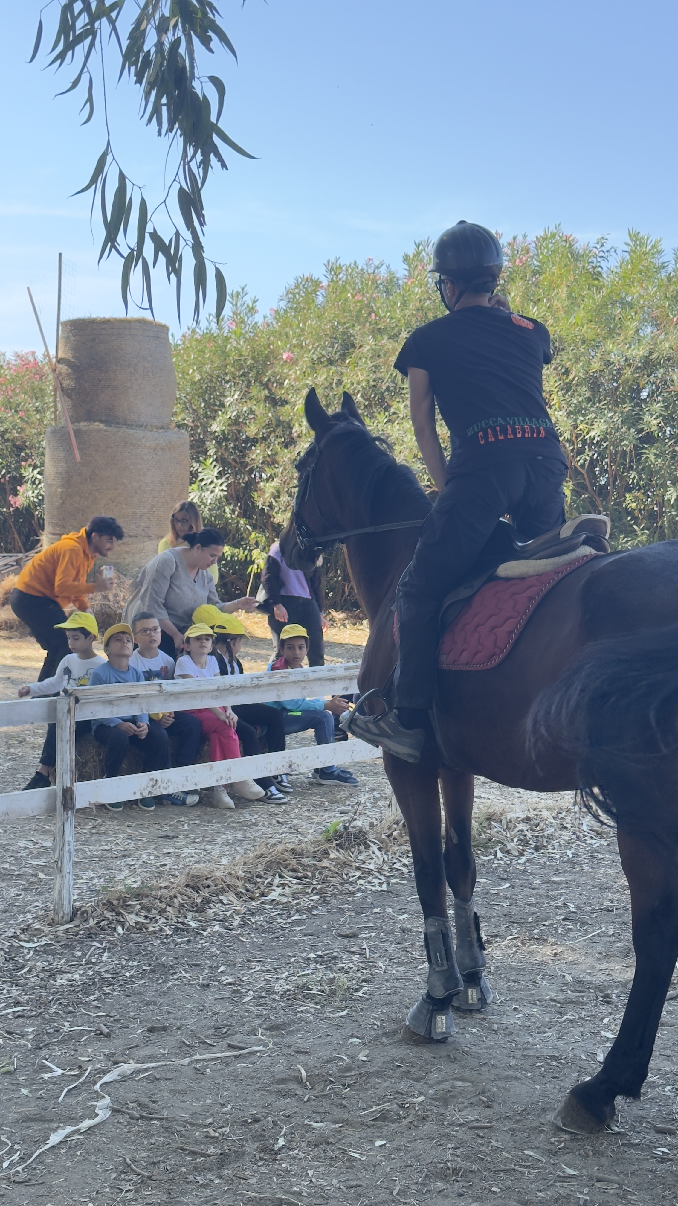 ZUCCA VILLAGE CALABRIA 2026 - PROMO SCUOLE