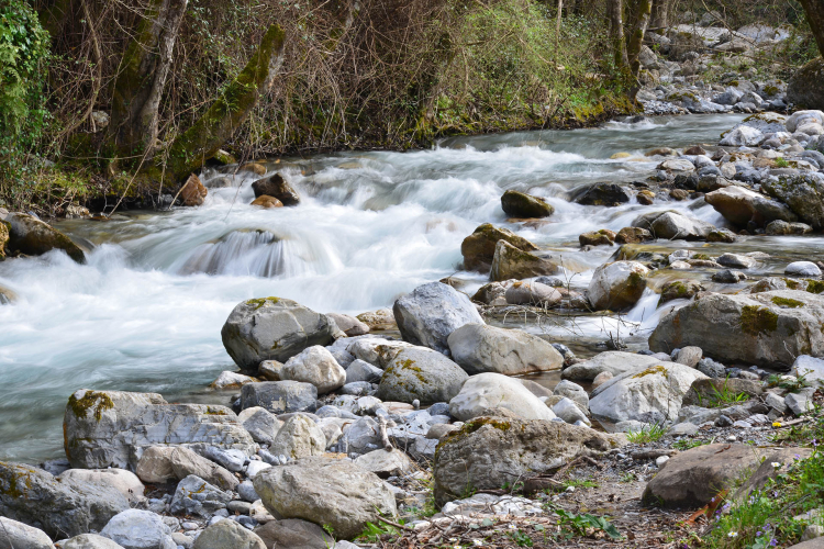 ORSOMARSO E IL PARCO NAZIONALE DEL POLLINO