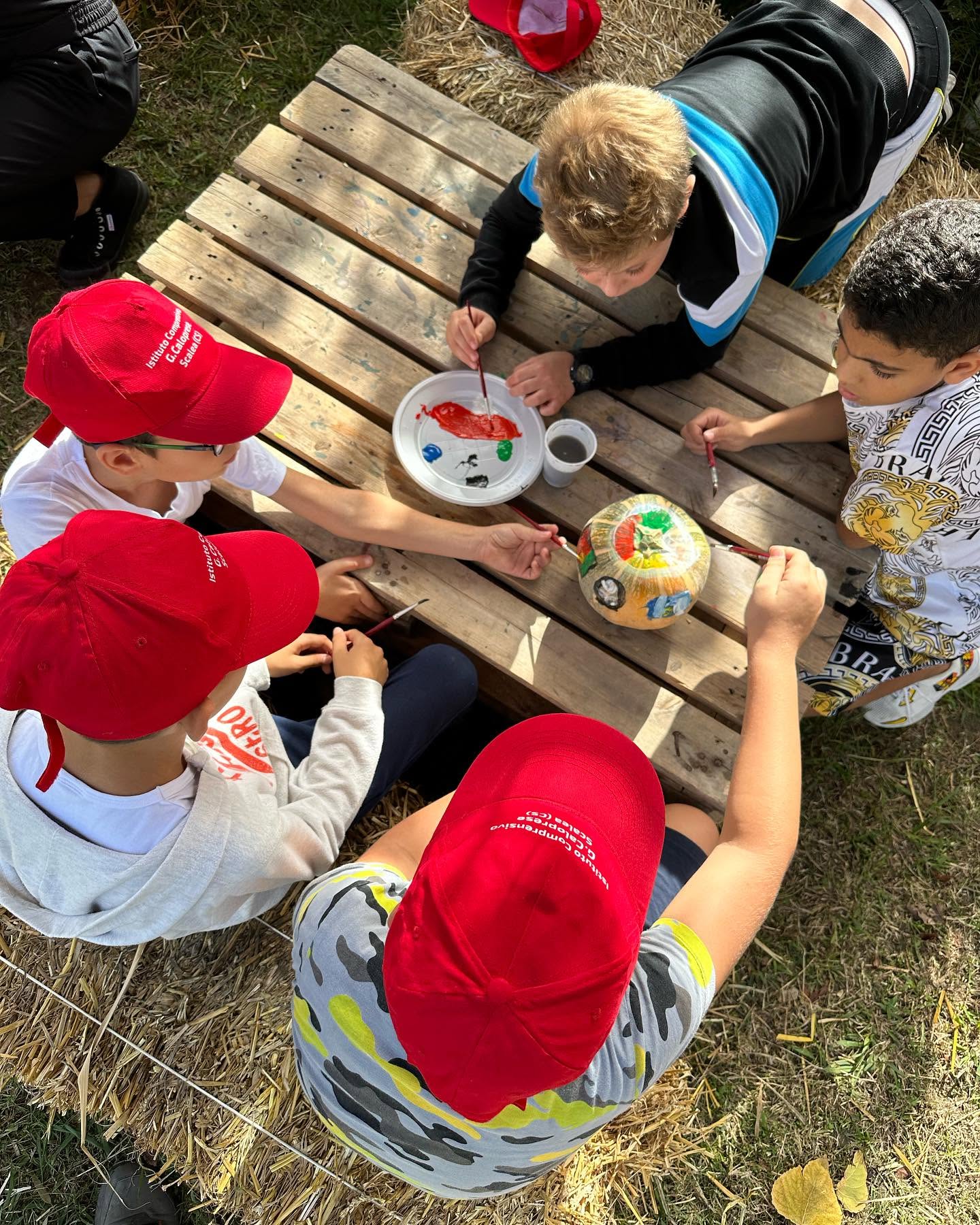 ZUCCA VILLAGE CALABRIA 2026 - PROMO SCUOLE