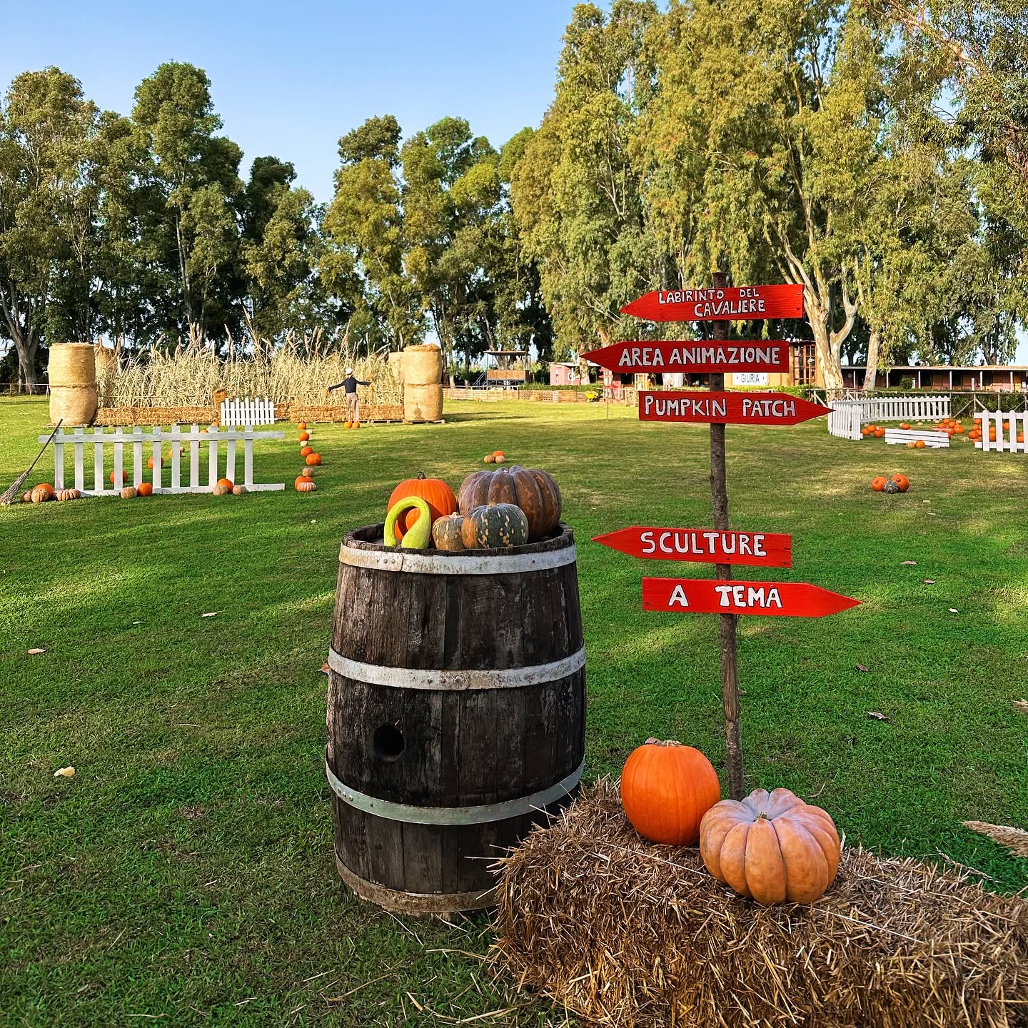 ZUCCA VILLAGE: TICKET INGRESSO + SOGGIORNO